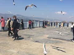 -滇池海埂公园