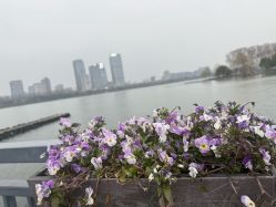 -玄武湖景区-情侣园游乐场