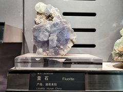 -中国地质博物馆