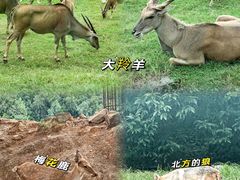 -乐和乐都主题乐园
