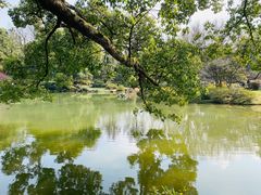 -杭州植物园