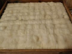 -西江老字号徽记毛豆腐