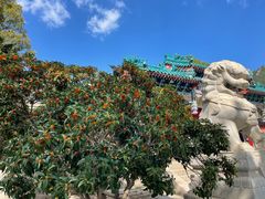 -青岛崂山太清宫