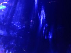 -OZONE 顶楼酒吧(香港丽思卡尔顿酒店)