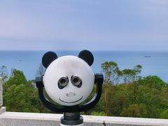 -广东惠东海龟国家级自然保护区