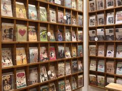 明信片-猫的天空之城概念书店(印象城购物中心店)
