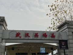 -武汉关码头(轮渡站)