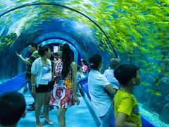 -福州罗源湾海洋世界旅游区