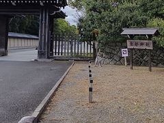 -京都御所