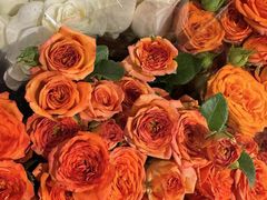 -循礼门鲜花花市(武汉循礼门店)