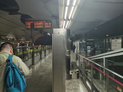 -外高桥保税区南(地铁站)