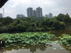 -龙头寺公园