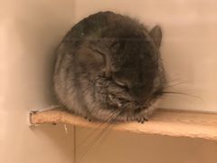 -龙猫仔乐园(惠福东路店)