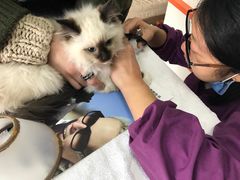 -惠康宠物医院(华能路店)