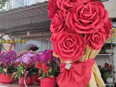 -溪岸路花鸟市场