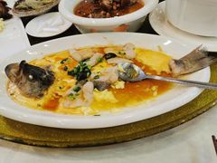 香葱芙蓉蒸鲈鱼-清心鸡沙田乳鸽店·非遗传承(粤垦路店)