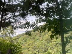 -龙岩森林水乡景区