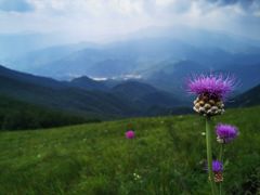 -灵山