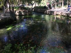-水磨沟公园