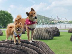 -上海月湖雕塑公园
