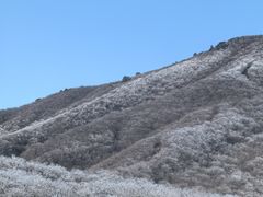 -安吉龙王山风景区