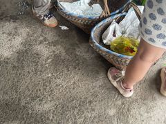 -马陆小张葡萄园农家乐