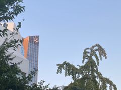 -五洲咖啡厅(五洲大酒店)