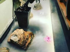 -庄隐阁(悠方广场店)