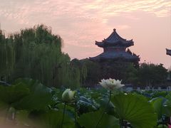 -济南大明湖景区