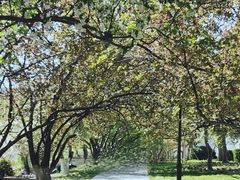 -元大都城垣遗址公园