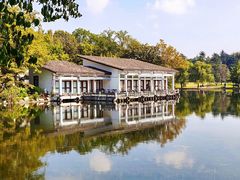 -上海共青森林公园