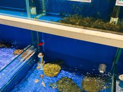 水产区-姜君·千岛湖鱼头馆(浦东大道店)