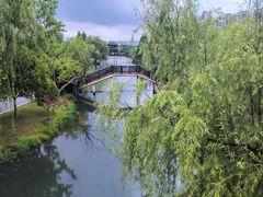 -洋湖国家湿地公园