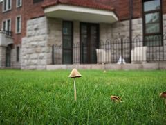 -天津津利华酒店