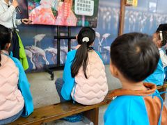 -广州长隆飞鸟乐园