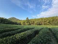 -浙江科技大学(小和山校区)