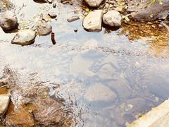 -灵溪风景区