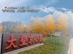 -大望京公园