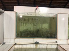 -海盗餐厅