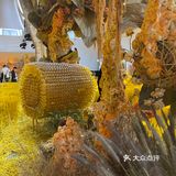 福临门大丰收不一样的玉米展
