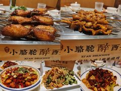 -福苗小骆驼烧烤(莲湖路店)