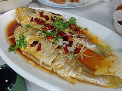 -来之顺海鲜菜馆·青岛菜·始于1993(栈桥店)