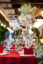 -M'S BANQUET AND SPACE ART