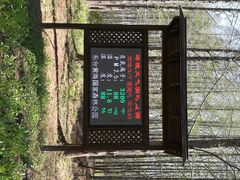 -黄海国家森林公园