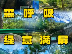 -白水寺森林公园