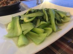 -玫瑰西餐厅.意面披萨.牛排咖啡