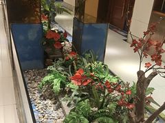-柴米油盐(土菜院子店)
