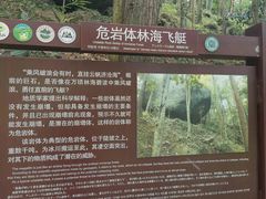 -大围山国家森林公园