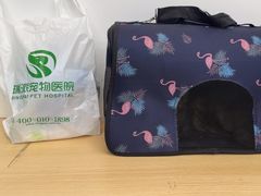 -瑞派动物医院·猫专科·至诚(江南中分院)