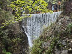 -大奇山国家森林公园